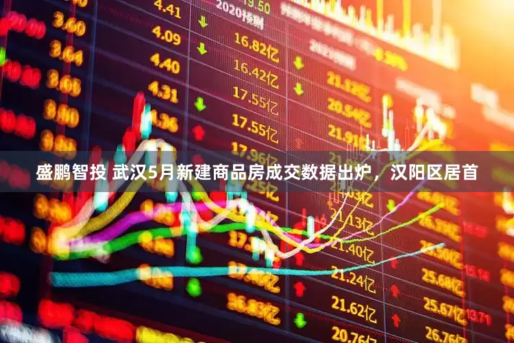 盛鹏智投 武汉5月新建商品房成交数据出炉，汉阳区居首